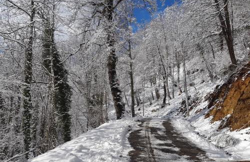 Le Chalet de Pyrène et Hercule - Foto 25