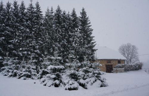 Le Bois gentil - Foto 21