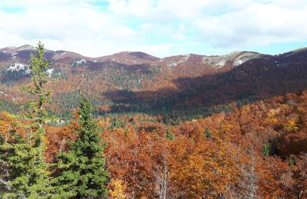 Apartments Tomas - Foto 20