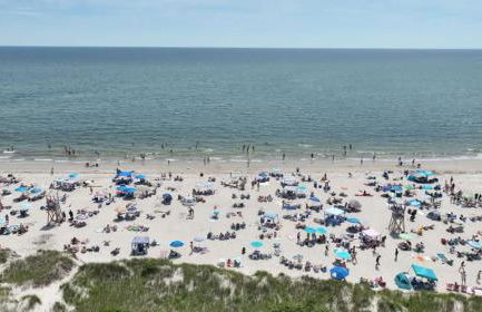 Minutes to Red River Beach Dog Friendly - Photo 31