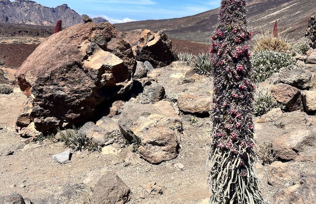 Casa Salvia - Rural Holiday Home - Foto 60