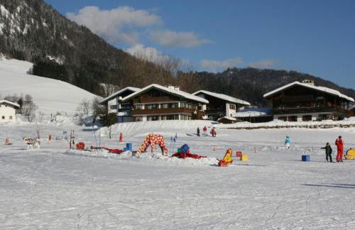 Alpenspatzl - Foto 22