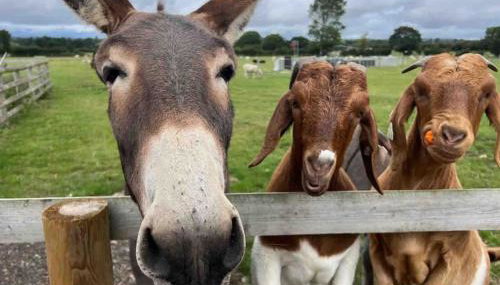 Nestledstays - The Barn House With Hot Tub - Foto 5