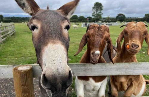 Nestledstays - The Barn House With Hot Tub - Foto 5