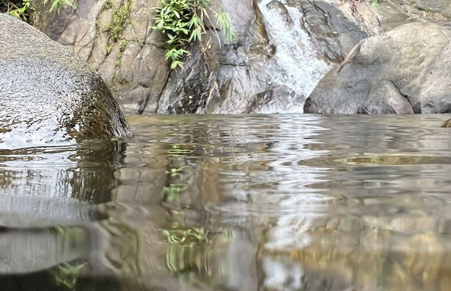 Ton Pling Khao Lak Villa - Photo 58
