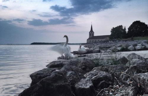 LA GRUE CENDRÉE - Les gîtes du Der - - Foto 10