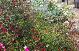 Casa Monteverdi - Foto 49