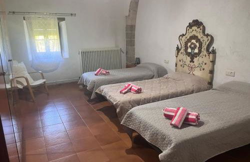 Masia Can Tibau - Photo 21