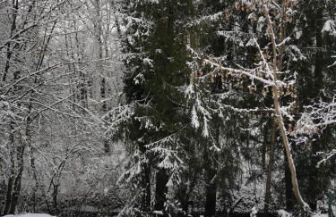 Ferienhaus Theodor EG - Foto 38