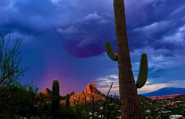 Los Lagos Mesa - Photo 35