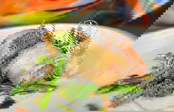 Exclusive Suite - Ocean Views & Beach - Foto 33