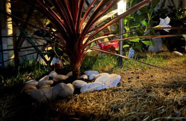 CreaConfort Casa Boa Jóia de Campanhã - Foto 26