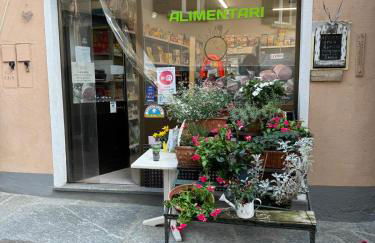 Lago Maggiore- Casa Roccia-Ferienwohnung in Pino sulla Sponda - Foto 29