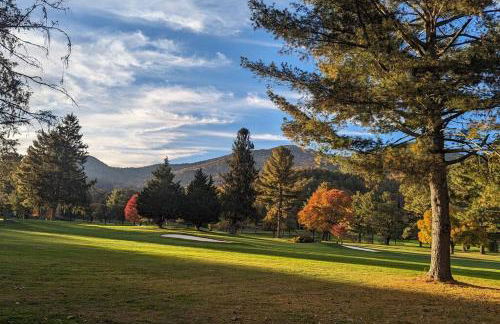 Serene Green - Views, Hot Tub, Skiing, Tubing, Gas Fireplace - Foto 36