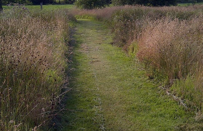 Buntes Moor - Foto 25