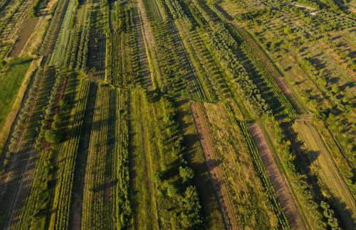 MY DALMATIA - Authentic Villa Storia with private heated pool - Photo 60