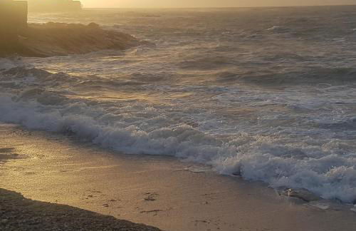 NPB Quimiac - Foto 1