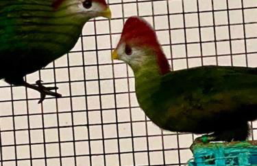 Agriturismo Villa Paradiso Esotico - Photo 44