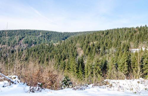 Holzhaus Harzville - Foto 28