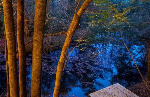 Crabapple-Secluded cabin with pond creek access, hot tube, fire pit in Blue Ridge - Photo 37