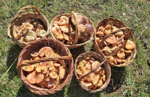 CASA LARA CIUDAD ENCANTADA - Foto 31