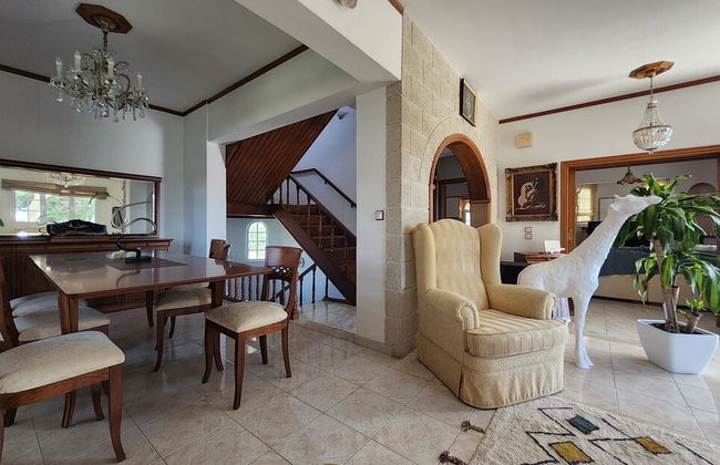 Freeman Greenlees Classical Greek - Foto 16