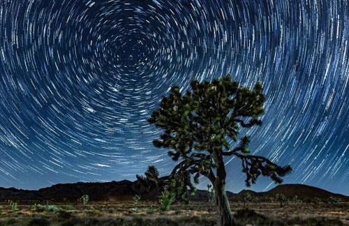 Joshua TreeYucca Valley Sunset Desert Retreat 6425 - Foto 74