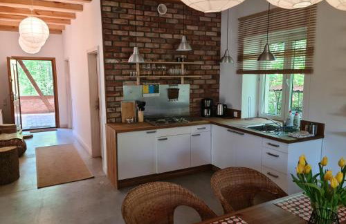 Siedlisko Dębinka - Foto 19