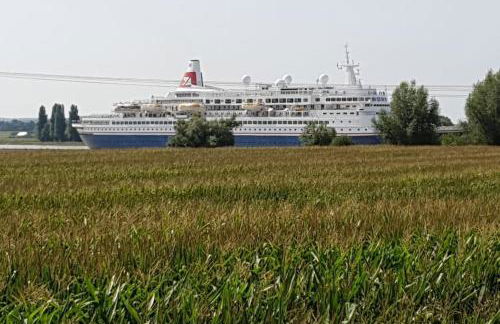 Au Saule en Seine - Foto 11