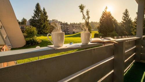 Gemütliches Familienapartment im Bayrischen Wald POOL NETFLIX - Foto 2