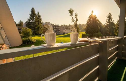 Gemütliches Familienapartment im Bayrischen Wald POOL NETFLIX - Foto 2