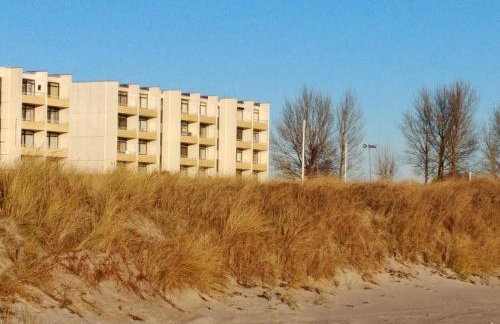 Fehmarn Burgtiefe Südstrand SEEKIEKER - inkl Freikarten FehMare Schwimmbad und Sauna - Foto 14