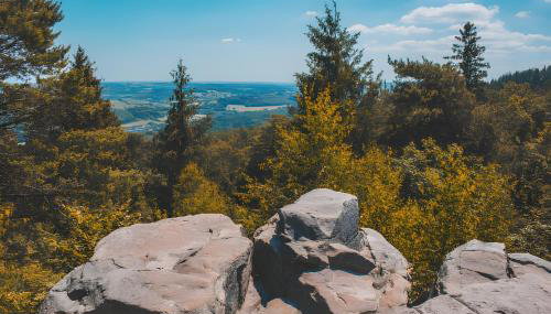 Waldgästehaus Externsteine - Foto 2