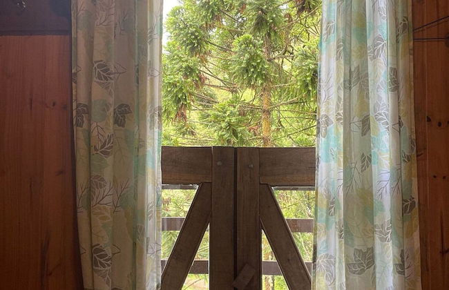 Vale do Lajeado - Campos do Jordão - Photo 77