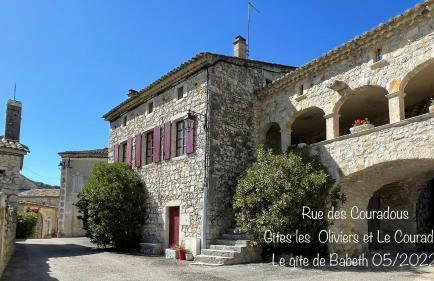 Gite les Oliviers - Le Domaine du Viticulteur - St Maurice d Ibie - Foto 20