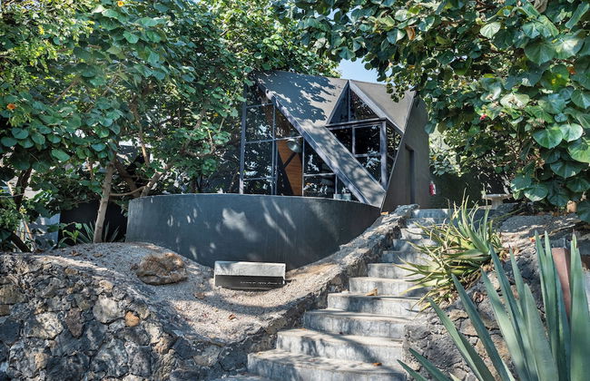 Bosque Geométrico - Foto 56