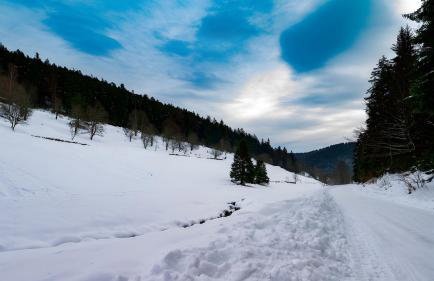 Haus Hubertus - Photo 27