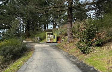 Apartment w hot tub forest & ocean view - Foto 42