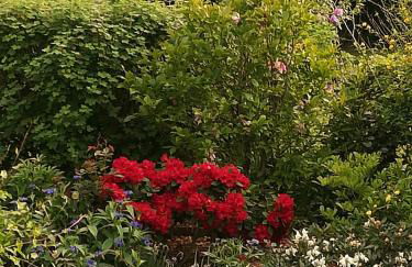 Superior - Ferienhaus am Engelsbach im Thüringer Wald - Photo 53