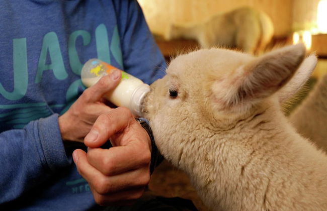 Beautiful Apartment in Westendorf With Sauna - Foto 24