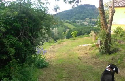 Il Gelso Rosso - Foto 14