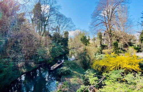 Appartement spacieux à Colmar avec terrasse, garage privatif, proche centre et gare - FR-1-722-2 - Foto 23