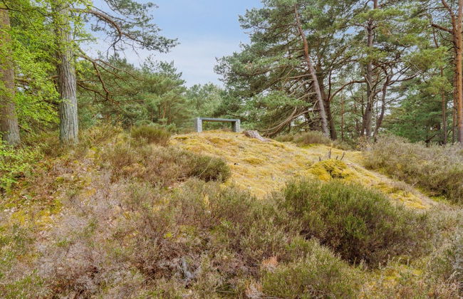 "Bergulv" - 75m from the sea - Foto 6