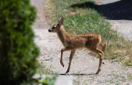 House of Velebit Adria - Foto 74