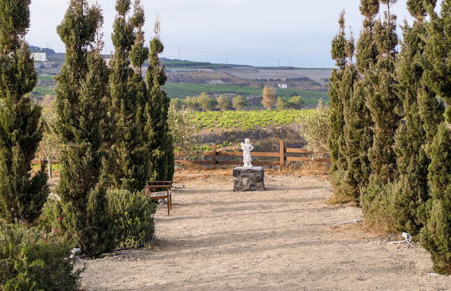 Christou Estate - Foto 72