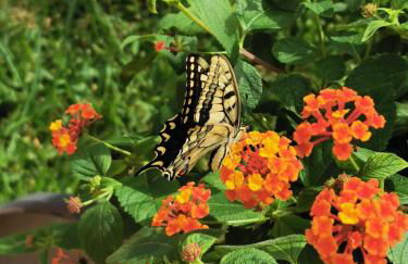 Azienda Agrituristica Baglio Carta - Foto 75