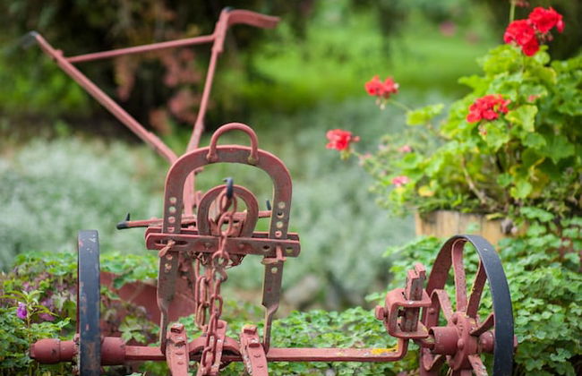 Country House Stara Kapela - Foto 42