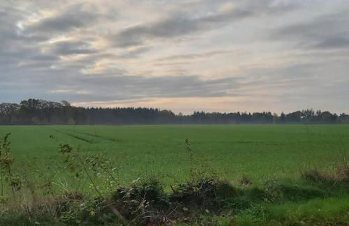 Apartment in upper floor in nature reserve. - Foto 27