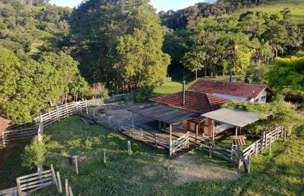 João-de-barro - Foto 15