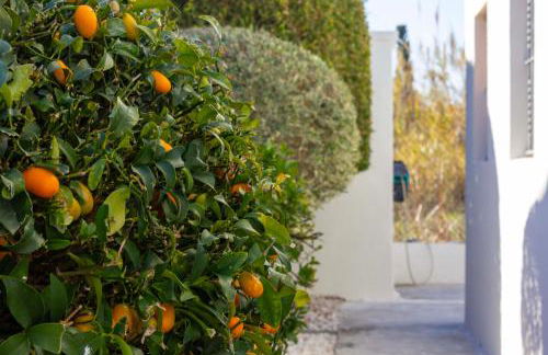 Chalet Centro Encuestre MET OLIVA NOVA - Foto 38